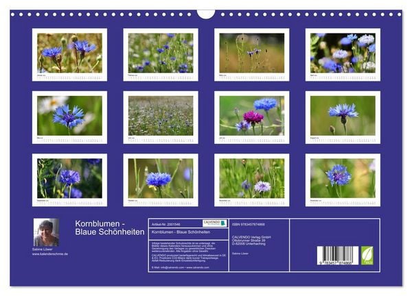 Produktbild: Kornblumen - Blaue Sch&ouml;nheiten (Wandkalender 2026 DIN A3 quer), CALVENDO Monatskalender