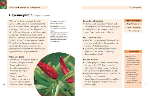 Produktbild: Handbuch Kr&auml;uter