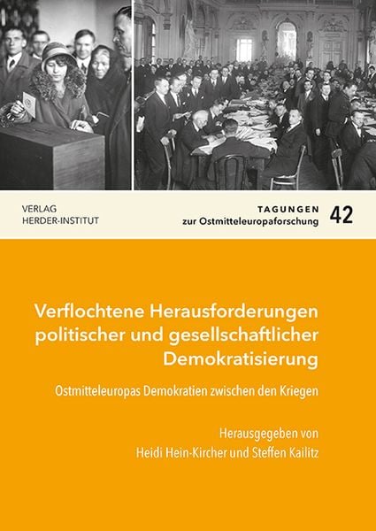 Produktbild: Verflochtene Herausforderungen politischer und gesellschaftlicher Demokratisierung