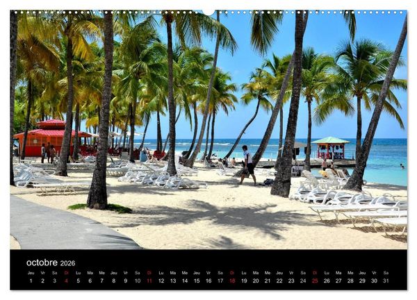 Produktbild: Paysages de Guadeloupe (Calendrier mural 2026 DIN A2 vertical) calendrier de bureau