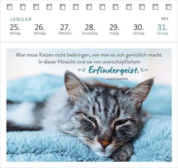 Produktbild: Postkartenkalender Katzenweisheiten 2027