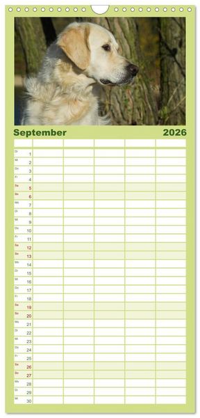 Produktbild: Familienplaner 2026 - Das Gl&uuml;ck hat einen Namen - Golden Retriever mit 5 Spalten (Wandkalender, 21 x 45 cm) CALVENDO