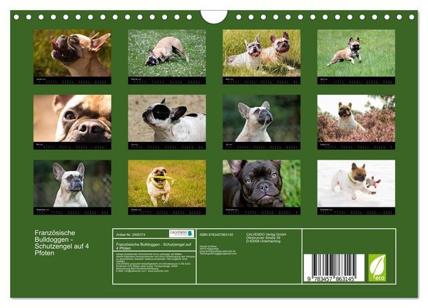 Produktbild: Franz&ouml;sische Bulldoggen - Schutzengel auf 4 Pfoten (Wandkalender 2026 DIN A4 quer), CALVENDO Monatskalender