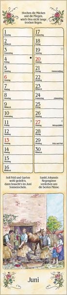 Produktbild: Bauernkalender Langplaner 2027