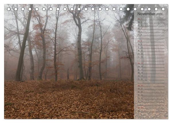 Produktbild: Unser Wald - Magische Sichten in norddeutsche W&auml;lder / Geburtstagskalender (Tischkalender 2026 DIN A5 quer), CALVENDO Monatskalender