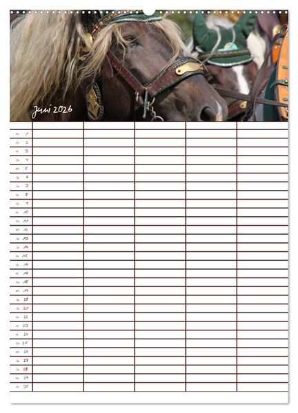 Produktbild: Der Kaltblut-Familienplaner (Wandkalender 2026 DIN A2 hoch), CALVENDO Monatskalender