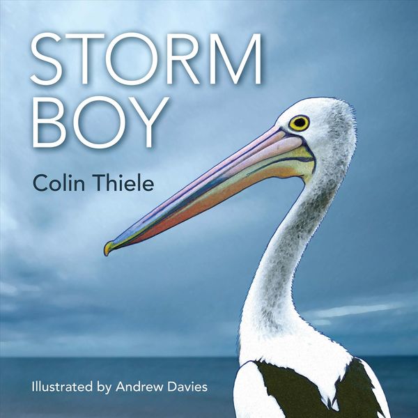 Produktbild: Storm Boy