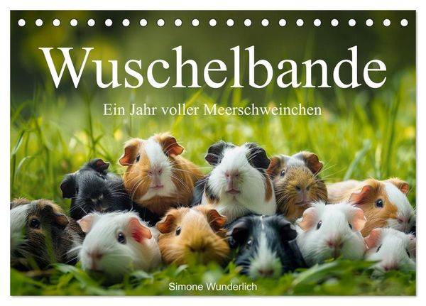 Wuschelbande - Ein Jahr voller Meerschweinchen (Tischkalender 2025 DIN A5 quer), CALVENDO Monatskalender