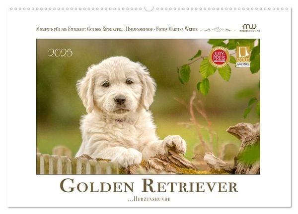 Golden Retriever... Herzenshunde (Wandkalender 2025 DIN A2 quer), CALVENDO Monatskalender