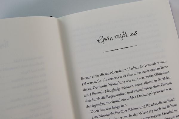 Produktbild: Gwin und das Herz des Drachen (Band 1)