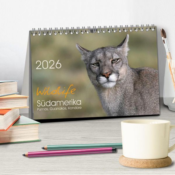 Produktbild: Wildlife S&uuml;damerika (Tischkalender 2026 DIN A5 quer), CALVENDO Monatskalender