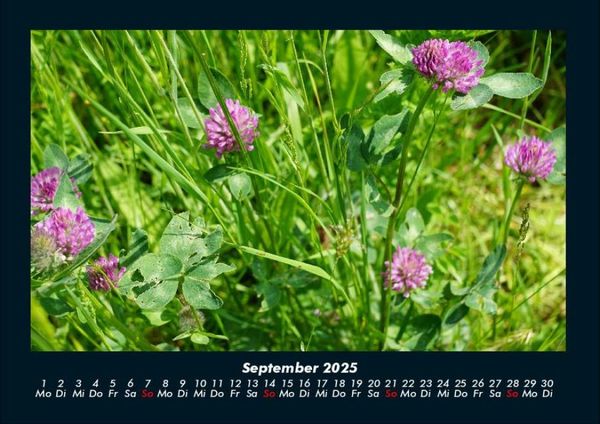 Produktbild: Bilder der Natur 2025 Fotokalender DIN A4