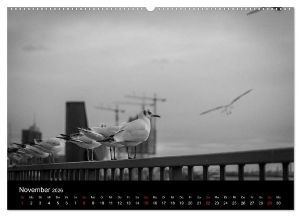 Produktbild: Mein Hamburg (hochwertiger Premium Wandkalender 2026 DIN A2 quer), Kunstdruck in Hochglanz