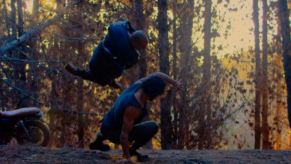 Produktbild: Die Faust des Condors