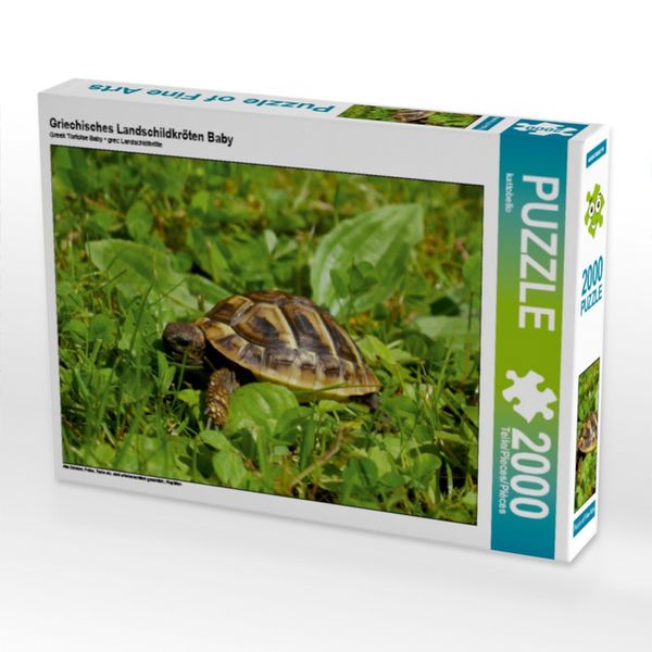 Produktbild: Griechisches Landschildkr&ouml;ten Baby (Puzzle)