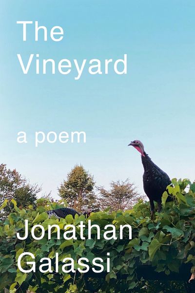 Produktbild: The Vineyard