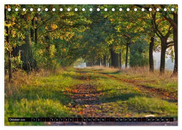 Produktbild: Oderlandschaft (Tischkalender 2026 DIN A5 quer), CALVENDO Monatskalender