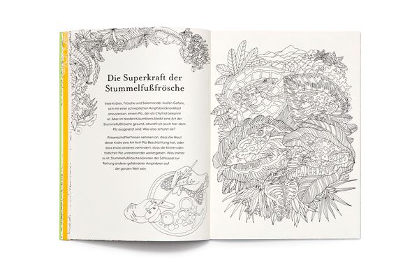 Produktbild: Die R&uuml;ckkehr der Wildnis. Ausmalbuch