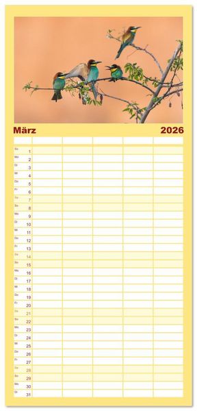Produktbild: Familienplaner 2026 - Bunte Flieger mit 5 Spalten (Wandkalender, 21 x 45 cm) CALVENDO