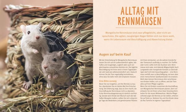 Produktbild: Rennm&auml;use