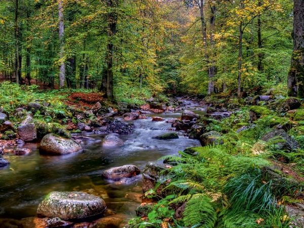 Produktbild: CALVENDO Puzzle Elendtal bei Schierke | 1000 Teile Lege-Gr&ouml;&szlig;e 64x48cm Foto-Puzzle f&uuml;r gl&uuml;ckliche Stunden