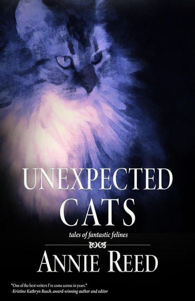 Produktbild: Unexpected Cats