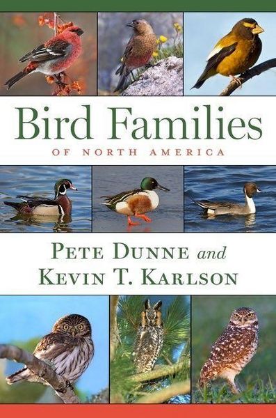 Produktbild: Bird Families of North America