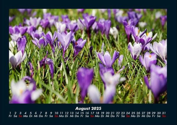 Produktbild: Blumenkalender 2025 Fotokalender DIN A4