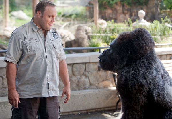 Produktbild: Der Zoow&auml;rter