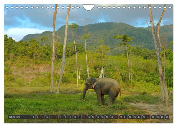 Produktbild: Thailand Journey (Wandkalender 2026 DIN A4 quer), CALVENDO Monatskalender