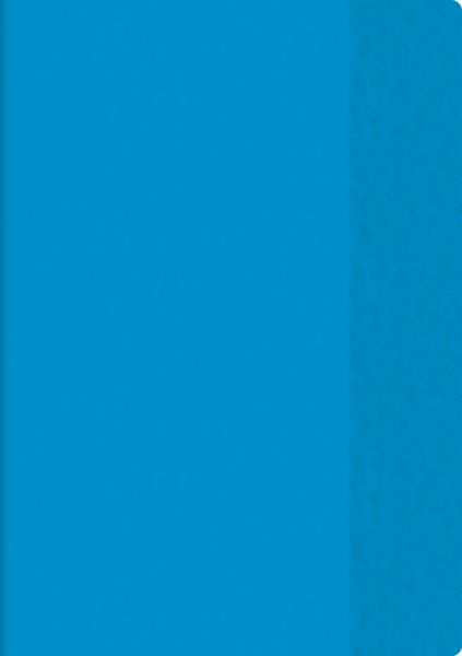 Produktbild: Brunnen Hefth&uuml;lle A4 transp. blau Folie