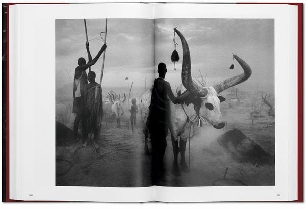 Produktbild: Sebasti&atilde;o Salgado. GENESIS