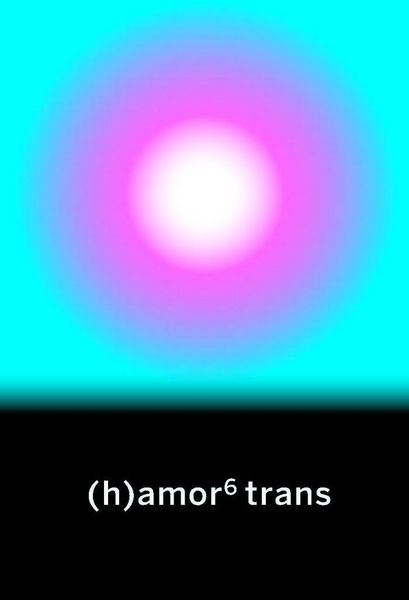 Produktbild: (h)amor 6 trans