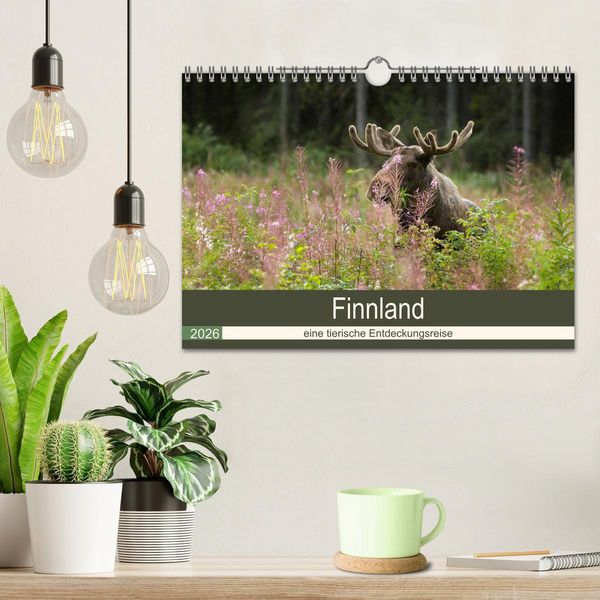 Produktbild: Finnland: eine tierische Entdeckungsreise (Wandkalender 2026 DIN A4 quer), CALVENDO Monatskalender