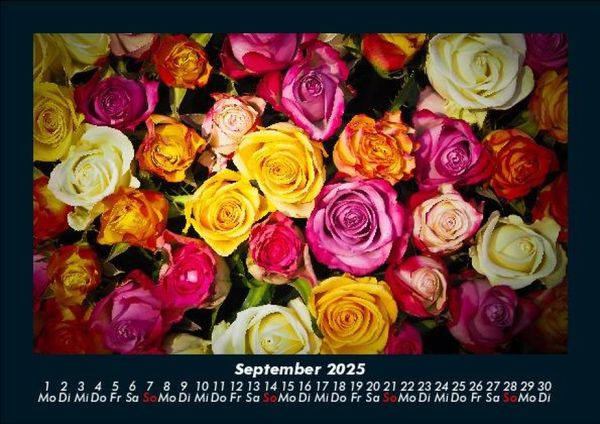 Produktbild: Rosen-Kalender 2025 Fotokalender DIN A5