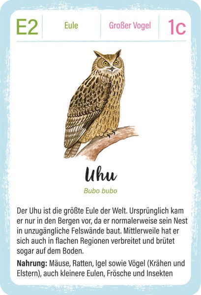 Produktbild: Expedition Natur Quartett V&ouml;gel