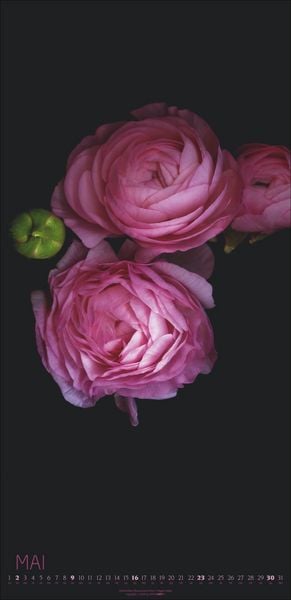 Produktbild: Die Magie der Blumen Kalender 2027