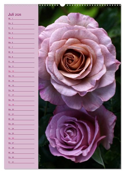Produktbild: Rosen Symphonie (hochwertiger Premium Wandkalender 2026 DIN A2 hoch), Kunstdruck in Hochglanz