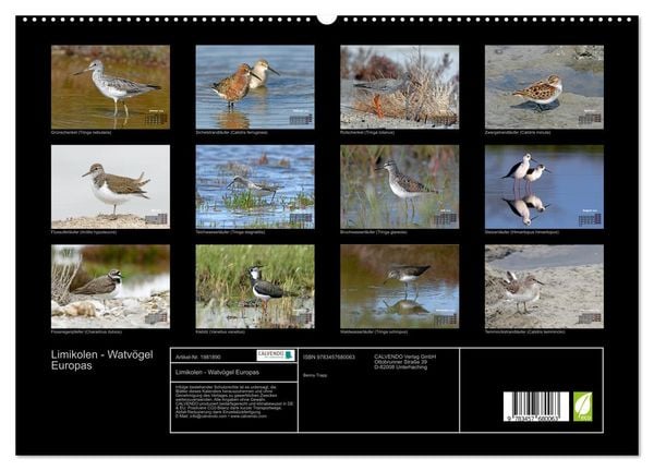Produktbild: Limikolen - Watv&ouml;gel Europas (hochwertiger Premium Wandkalender 2026 DIN A2 quer), Kunstdruck in Hochglanz
