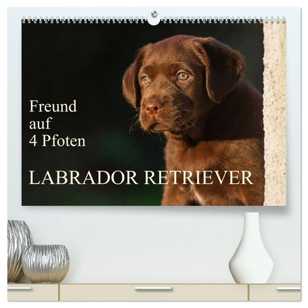 Produktbild: Freund auf 4 Pfoten - Labrador Retriever (hochwertiger Premium Wandkalender 2026 DIN A2 quer), Kunstdruck in Hochglanz