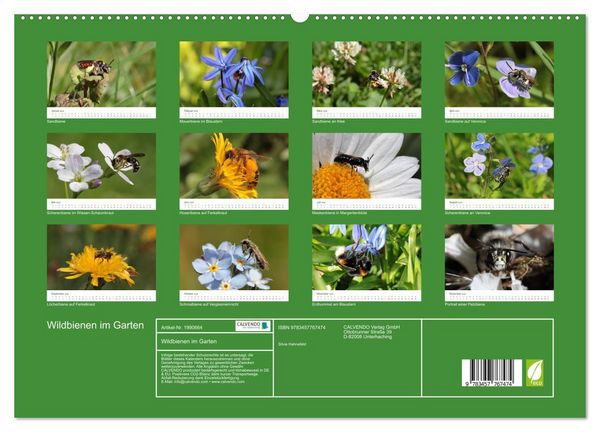 Produktbild: Wildbienen im Garten (hochwertiger Premium Wandkalender 2026 DIN A2 quer), Kunstdruck in Hochglanz