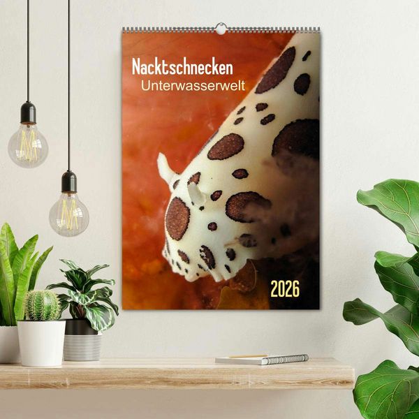 Produktbild: Nacktschnecken - Unterwasserwelt 2026 (Wandkalender 2026 DIN A2 hoch), CALVENDO Monatskalender