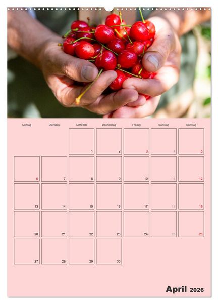 Produktbild: Obst Kalender - GESUND DURCH DAS JAHR (hochwertiger Premium Wandkalender 2026 DIN A2 hoch), Kunstdruck in Hochglanz