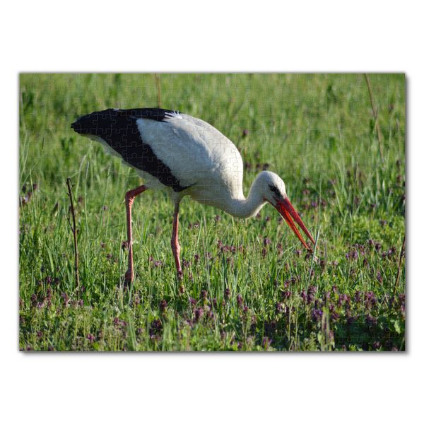 Produktbild: Lais Puzzle Storch 500 Teile
