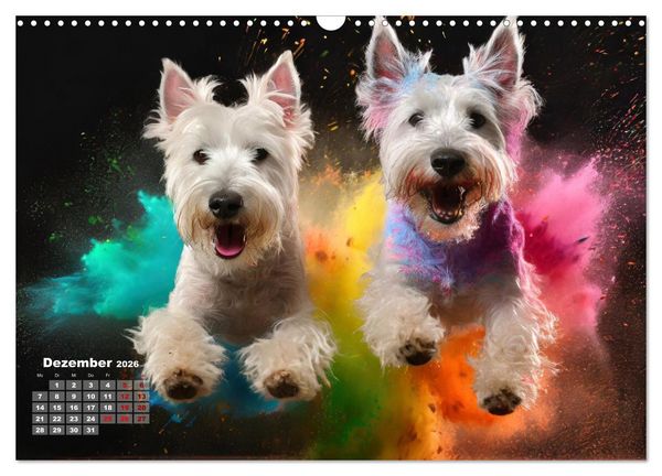 Produktbild: Holi Pulver - Doppelte Action (Wandkalender 2026 DIN A3 quer), CALVENDO Monatskalender