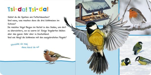 Produktbild: H&ouml;r mal rein, wer kann das sein? &ndash; Winter im Wald