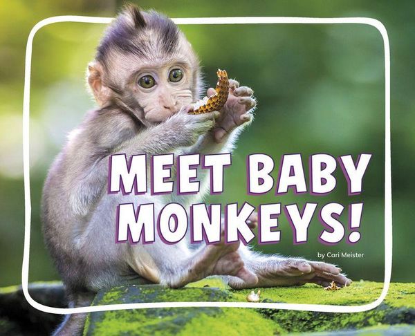 Produktbild: Meet Baby Monkeys!