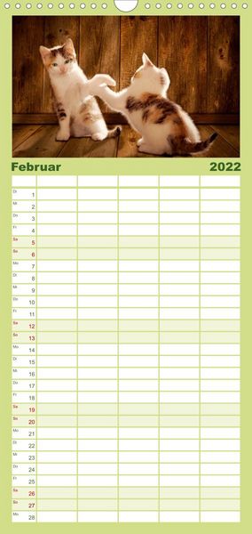 Produktbild: Familienplaner K&auml;tzchen 2022 (Wandkalender 2022 , 21 cm x 45 cm, hoch)