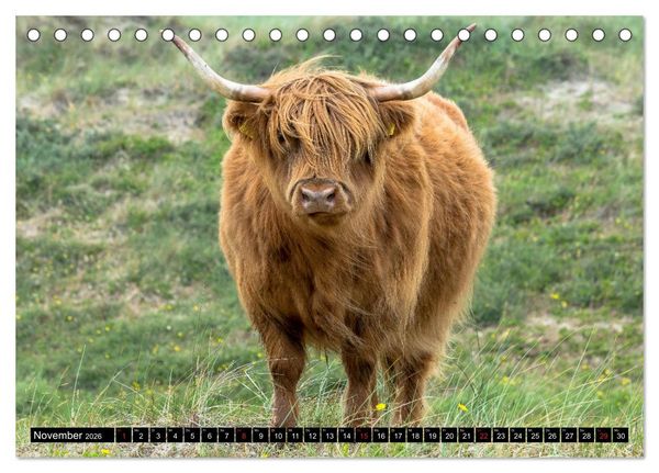 Produktbild: Egmond aan Zee - Nat&uuml;rlich (Tischkalender 2026 DIN A5 quer), CALVENDO Monatskalender