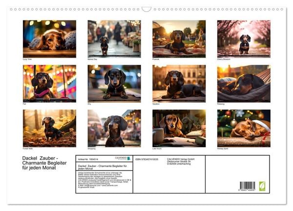 Produktbild: Dackel Zauber - Charmante Begleiter f&uuml;r jeden Monat (Wandkalender 2026 DIN A2 quer), CALVENDO Monatskalender
